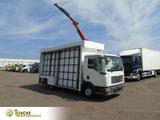 MAN TGL 8.180 + PALFINGER + GLASS TRUCK  + MANUAL - MAN Gl