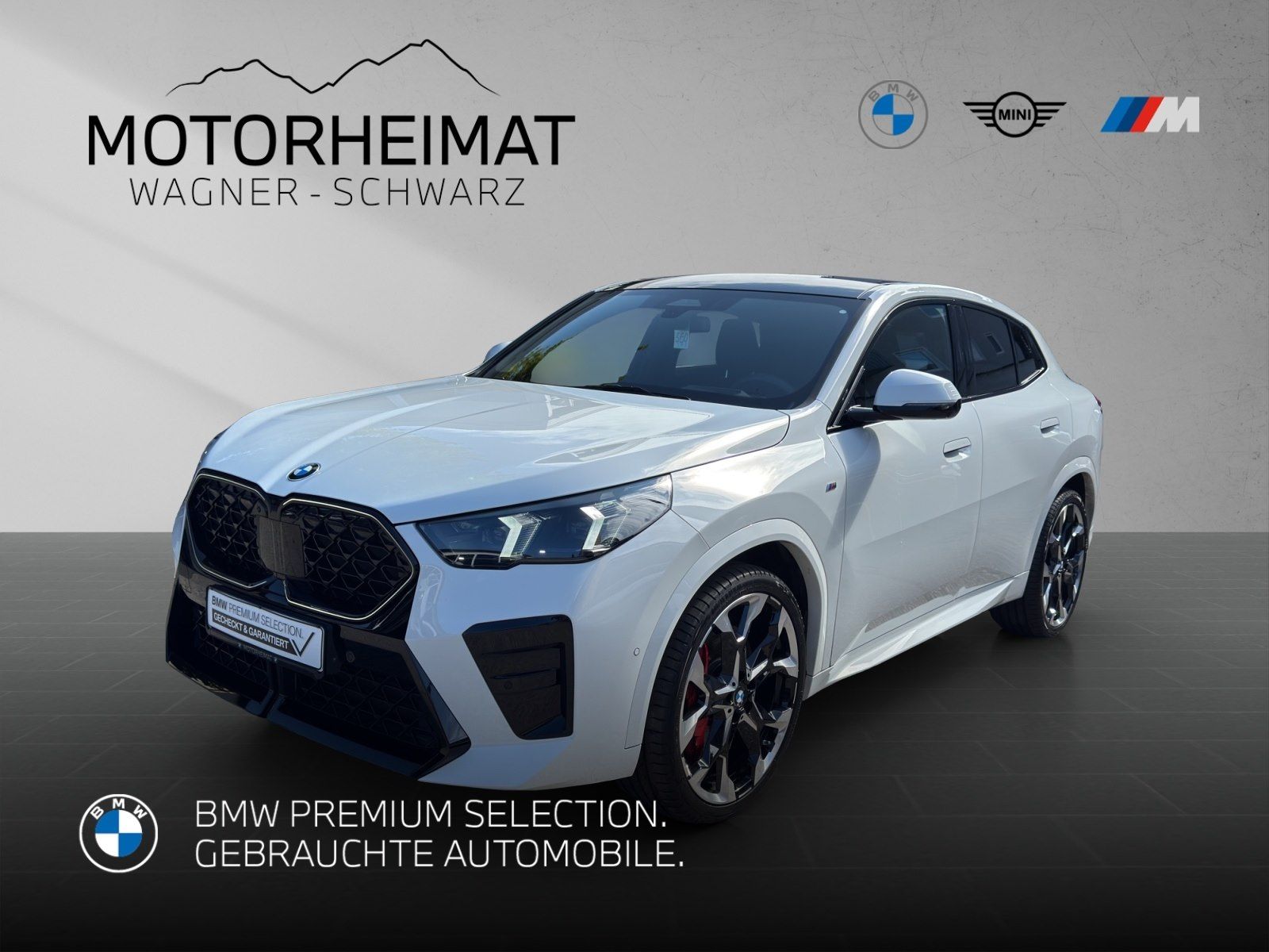 BMW X2 xDrive20d M SportPro 21 Pano ACC 360° HUD 1 foto 1