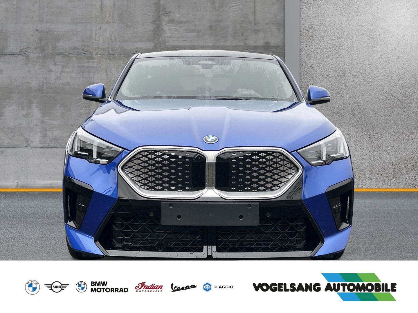 Fahrzeugabbildung BMW iX2 20 eDrive M Sport eDrive20 Park-Assistent Sp