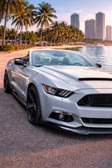 Ford Mustang 50 Year-Edition 5.0 V8 GT - Ford Mustang: Edition