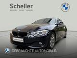 BMW 420i Coupé *Verkauf nur an Händler* - BMW mit Benzin-Antrieb: Coupe, Grau