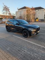 Jaguar F-Pace P250 R-DYNAMIC BLACK AWD R-DYNAMIC BLACK - Jaguar F-Pace in Essen