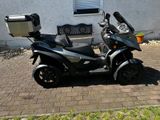 Quadro QV 4     Vierrad-Roller Quadro4 - QUADRO ROLLER