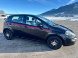 Fiat Punto Evo - Fiat Punto Evo von privat