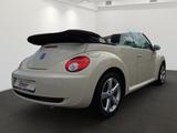 Volkswagen Beetle Cabriolet PREMIUM 1.8TURBO ERST 38tKM!!! - Volkswagen Beetle: Turbo