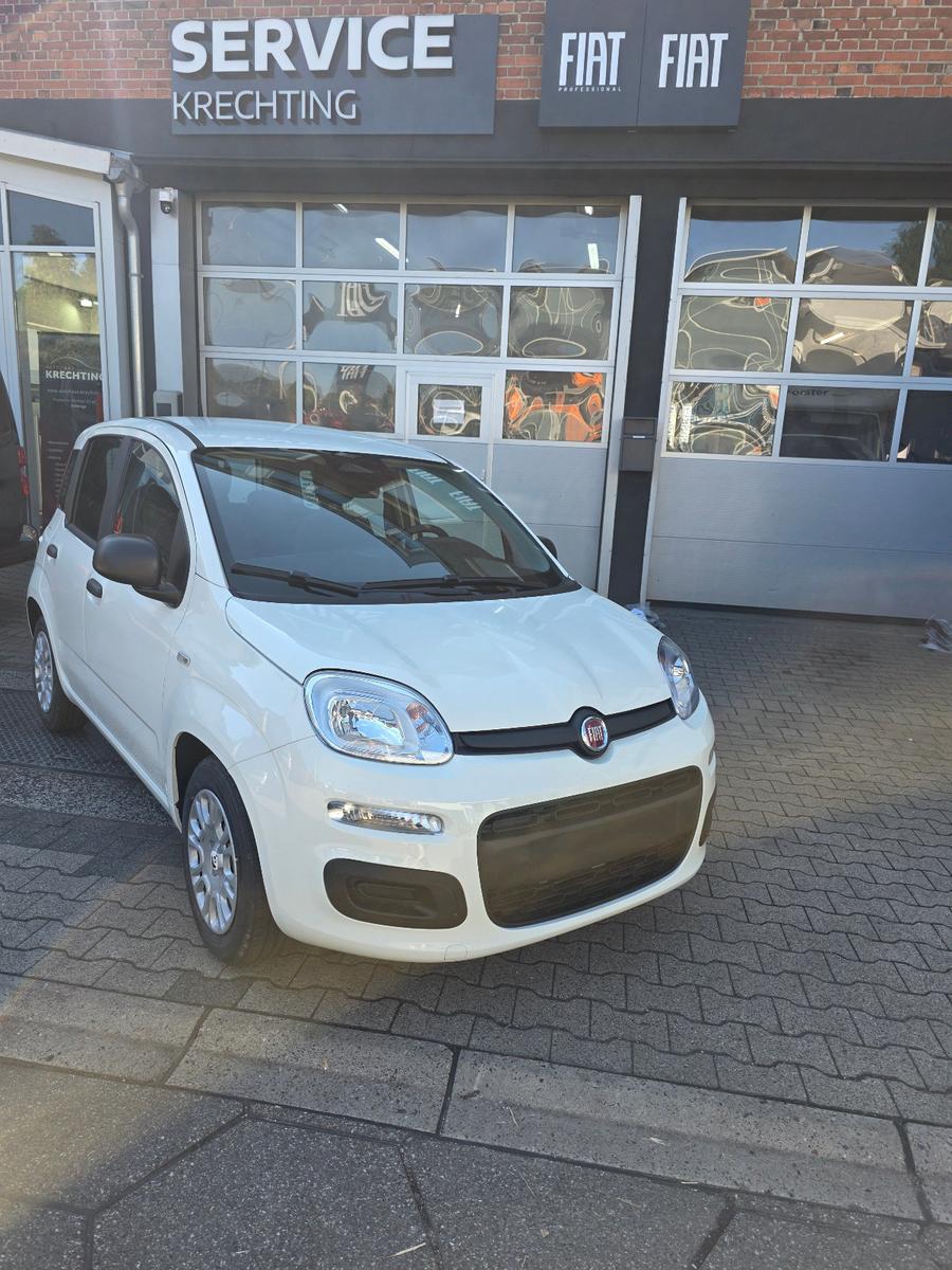 Fiat Pandina 1.0 GSE Hybrid 48 kW Icon
