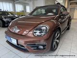 Volkswagen Beetle Cabriolet 2.0 TDI 5-Gang FENDER XENON KAM - Volkswagen Beetle: TDI