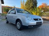 Volkswagen VW Lupo 1.0 *Princeton*HU Neu*Zahnriemen N... - Volkswagen Lupo: Princeton