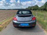 Volkswagen Beetle 1.2 TSI BMT ALLSTAR Cabriolet ALLSTAR - graue Volkswagen Beetle