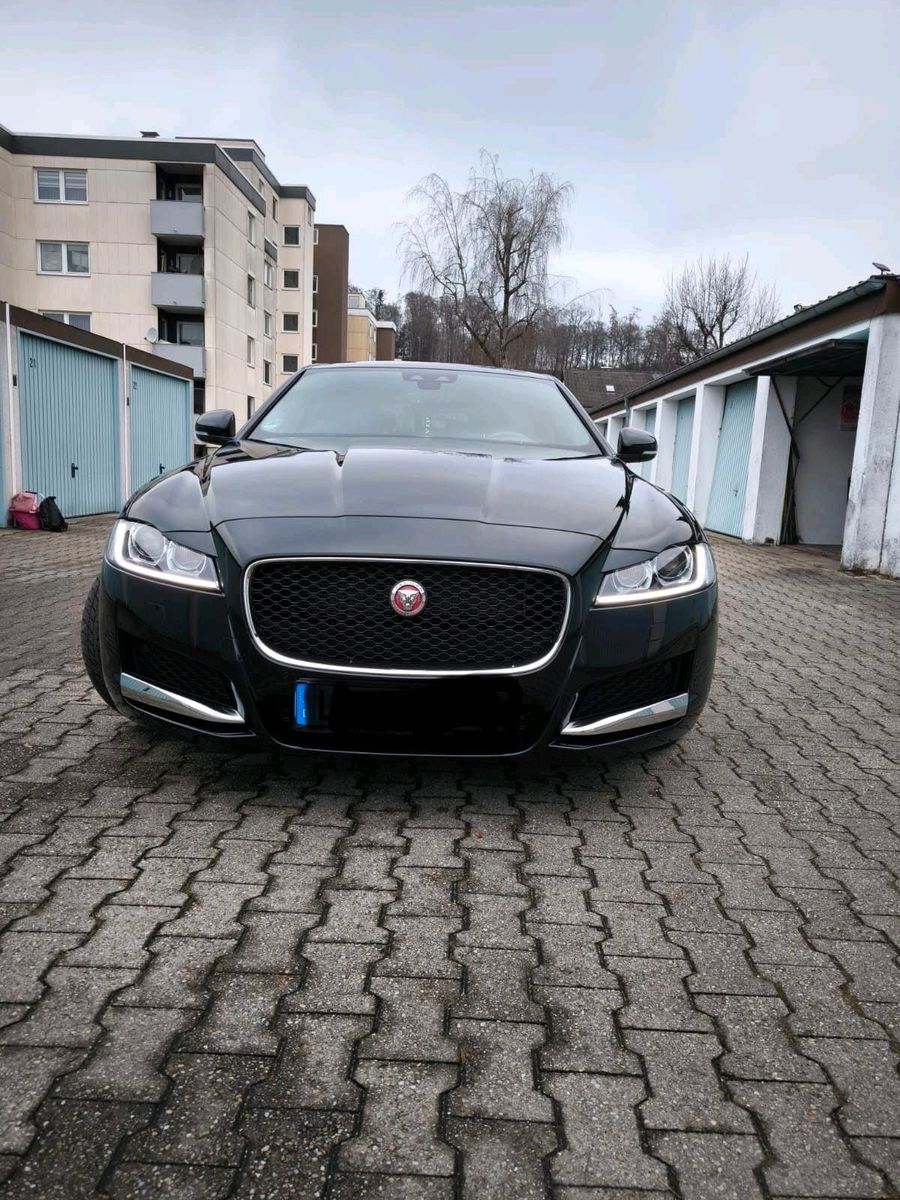 JAGUAR XF