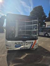 MAN Lions City G (A23) Gelenkbus 243.000 km - MAN Lion