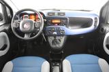 Fiat Panda Lounge *Klima*Tüv Neu* - Fiat Panda Gebrauchtwagen