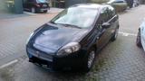 Fiat Punto Benziner/ Tüv bis 09/2027 / 4 n... - Fiat Punto in Bonn