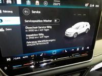 Volkswagen Tiguan - Vorschau Bild 5