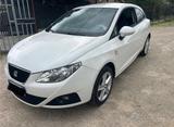 Seat Ibiza 1.6 TDI 105CV CR DPF 3p. Sport - Seat Ibiza aus 2010: Sport