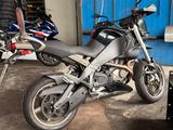 Buell XB12X Ulysses - Angebote