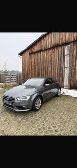 Audi A3 1.6 TDI Sehr guter Zustand - Audi A3: Se TDI
