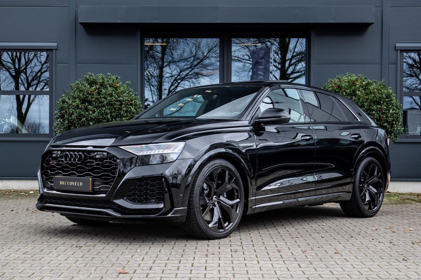 AUDI RSQ8 4.0 TFSI quattro