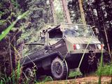 Andere Pinzgauer 710 M Steyr - Puch - : Pinzgauer