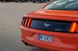 Ford Mustang 2.3 EcoBoost  Privatverkauf - : Privatverkauf