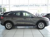 Ford Kuga Titanium X HeadUp/LED/elHeckkl/ACC/SplitVie - Ford Kuga: Allradantrieb