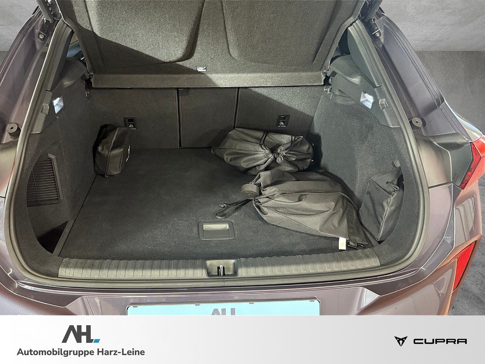 Cupra Terramar - Bild 12