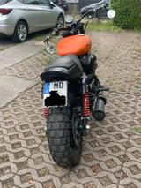Harley-Davidson Street Rod Scrambler Umbau - HARLEY-DAVIDSON STREET ROD