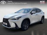 Lexus NX 450h+ Plug-In E-FOUR Business KAMERA 8-FACH - Lexus aus 2024: Nx