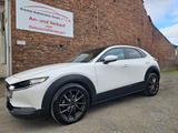 Mazda CX-30 Selection 2WD - Mazda CX-3 in Bielefeld