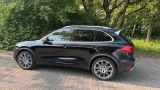 Porsche Cayenne Diesel Platinum Edition  - Porsche Cayenne in Mannheim