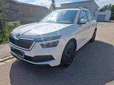 Skoda Kamiq 1.0 TSI 85kW Ambition - Skoda Kamiq: Von Privat