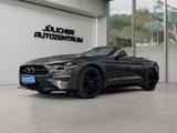 Ford Mustang 2.3 Cabrio Aut., Inspektion Neu,Garantie - Ford Mustang: Cabrio
