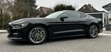 Ford Mustang 2.3 Eco - Premium - Ford Mustang: Schwarz