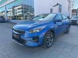 Kia XCeed 1.6 CRDi Spirit Automatik Navi Bi-LED AHK - Kia XCeed Spirit mit Diesel-Antrieb