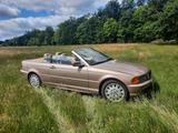 BMW 323Ci - - BMW 323: Coupé, 323ci