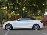 BMW Cabrio 218 i M Sport Paket Leder Navi LED - BMW 2er Reihe: M Paket