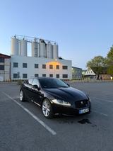 Jaguar XF 3.0 L V6 Diesel Sportbrake - Jaguar XF in Bielefeld