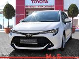 Toyota Corolla Touring Sports 1.2 Comfort - Toyota Corolla mit Benzin-Antrieb: Kombi