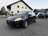 Fiat Punto 1.2 8V Dynamic Dynamic - Fiat Punto Dynamic mit Benzin-Antrieb