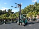 Mitsubishi Grendia Gabelstapler Spezial Gartenbau Stapler