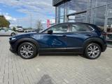 Mazda CX-30 2.0 (150PS) Schalter Selection Prem-P. WKR - Mazda CX-30 Gebrauchtwagen in Frankfurt