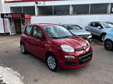 Fiat Panda 1.0 Twin Turbo*2.Hand/Klima/Sehr gepflegt* - Fiat Panda: Turbo