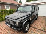 Mercedes-Benz G, der perfekter Offroad-Trip Partner.