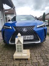Lexus UX 250h E-FOUR Luxury Line Luxury Line - Lexus UX aus 2019
