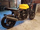 Triumph Speed Triple T300 - TRIUMPH T300