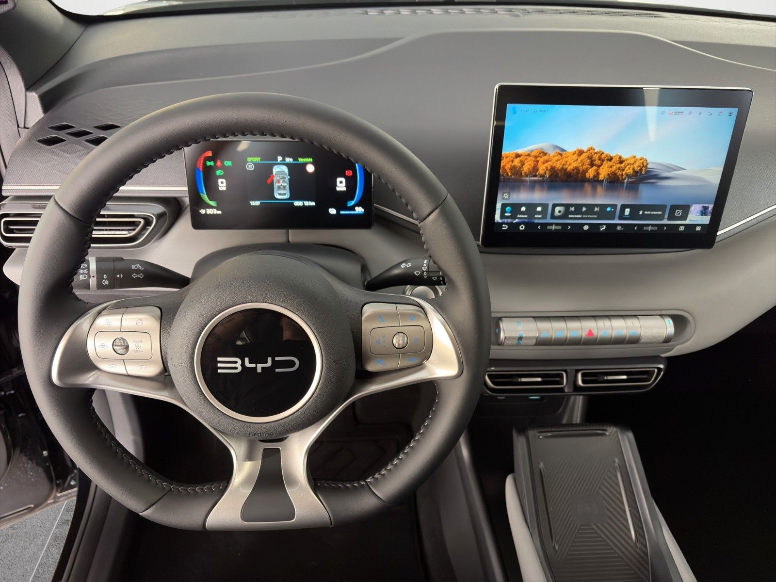 BYD DOLPHIN SURF