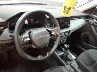 Skoda Kamiq - Vorschau Bild 5