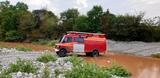 Mercedes-Benz 410d 4x4 Larag (not Iglhaut 310d Sprinter 4x4) - Mercedes-Benz Sprinter: 310 D