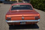 Ford Mustang - Ford Mustang in Hamm