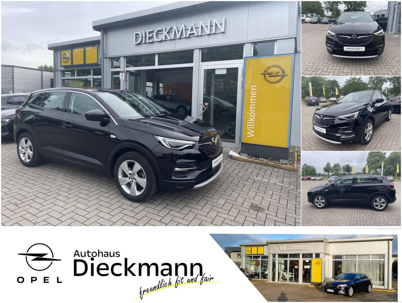Opel Grandland X INNOVATION Navi AHK SHZ RFK E-Heckkl